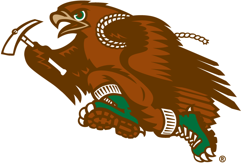 Lehigh Mountain Hawks 1996-Pres Mascot Logo diy fabric transfer